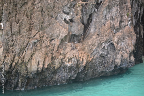 Steep cliffs above the sea. Monkey's habitat