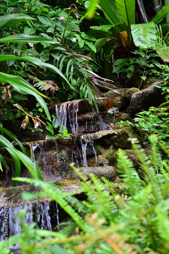 Waterfall in the jungle of Thailand