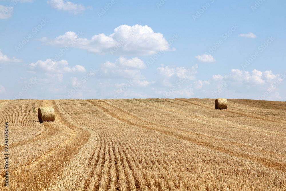 Fototapeta premium Round bale of straw on a stubble field and cloudy blue sky