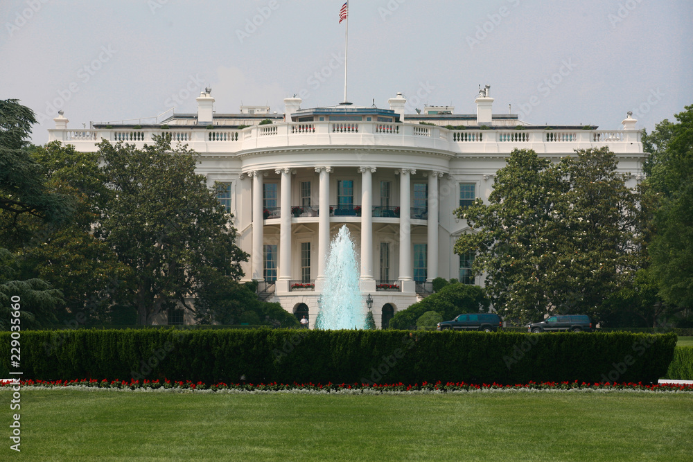 Naklejka premium White House front lawn