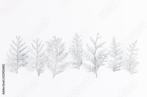 Minimalist Christmas composition in bright colors made of pine branches on white background. Christmas  winter  new year concept. Flat lay  top view  copy space