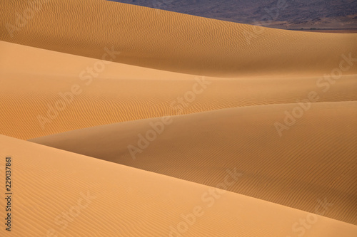 Background with sandy dunes in desert