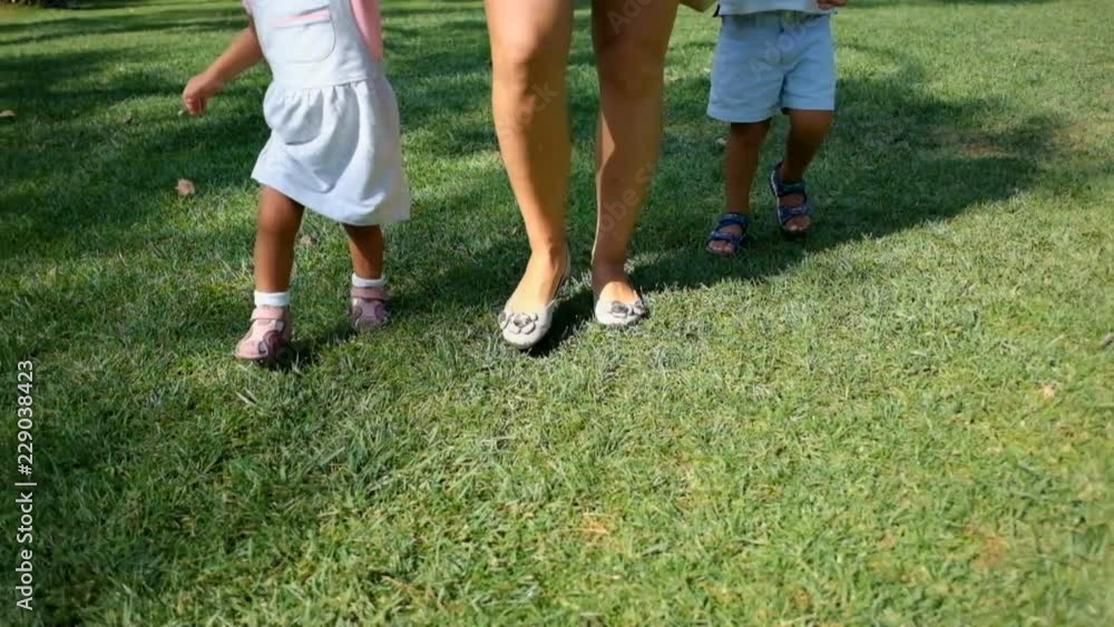 Pregnant mother walking with little kids on green lawn in park, cropped back view. Family holding hands and walking together on grass in slow motion. Motherhood concept Pregnant mother walking with little kids on green lawn in park, cropped back view. Family holding hands and walking together on grass in slow motion. Motherhood concept