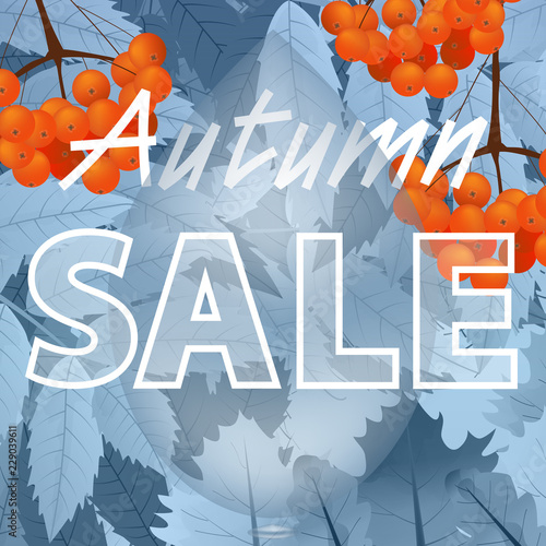 Autumn sale design. Fall discount poster with maple leaves and branch of rowan. Can be used in business for advertising, banners or posters. Vector