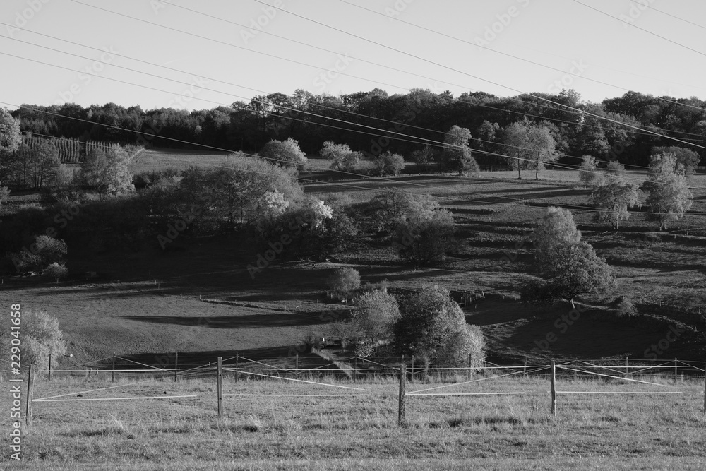 Fototapeta premium Südwestfalen Landschaft bei Siegen-Oberschelden
