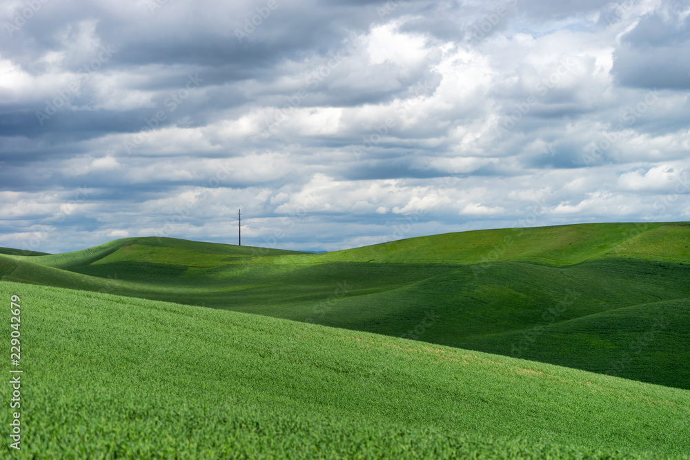 green field, rolling hills and blue sky
