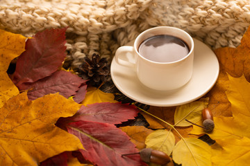 Autumn, fall leaves, a hot cup of coffee and a warm scarf on the background of a wooden table. Seasonal, morning coffee, Sunday relaxing and still-life concept. Warm, comfort and home comfort