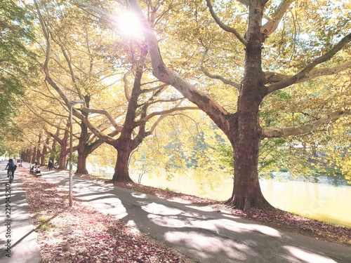 Autumn forest - Beautiful rural scenery - Herbst - Wald - Park - Promenade am Fluss 