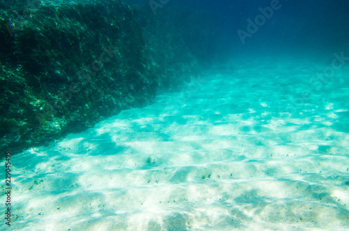 Underwater landscape, sandy bottom and rocks