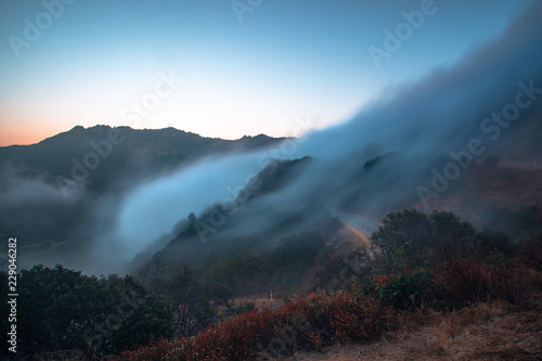 Malibu Fog