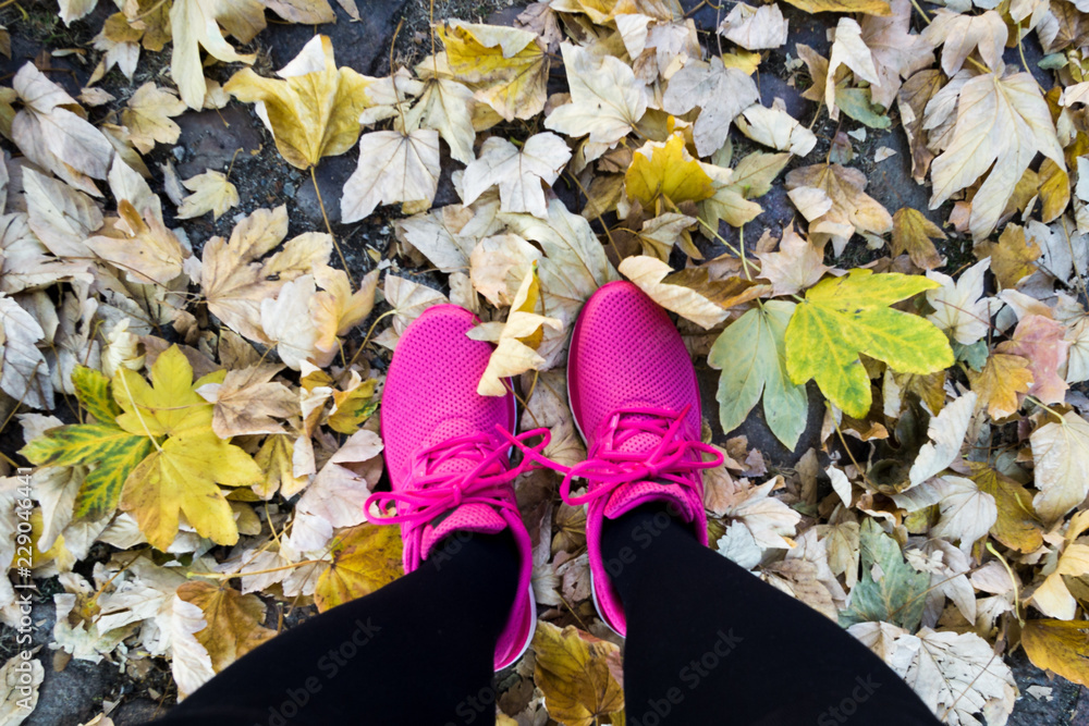Pinke Schuhe im Herbstlaub