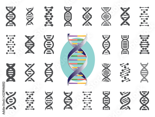 Set of DNA icons. Human genetic variation. Vector illustration.