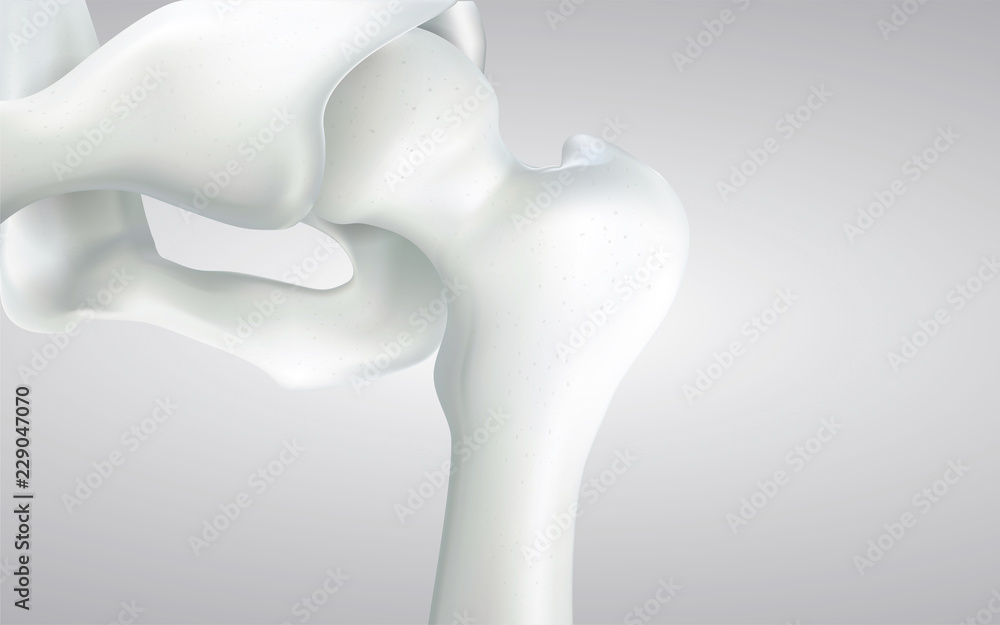 Fototapeta premium Thigh bone and human sphincter. On a white background - 3D rendering can be word or word paste.