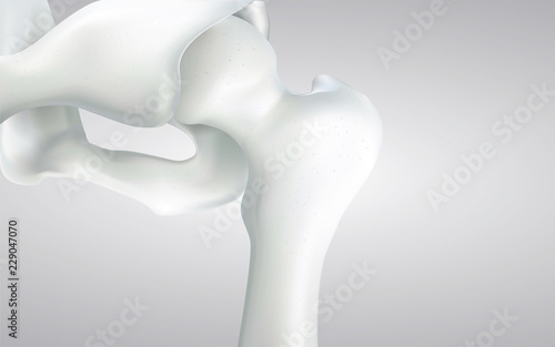 Thigh bone and human sphincter. On a white background - 3D rendering can be word or word paste.