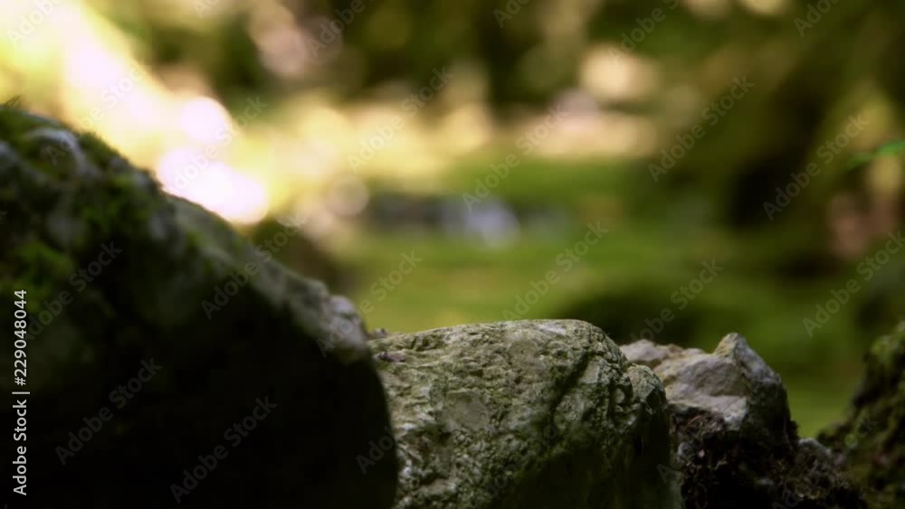 Water creek ripple river outdoor focus pull Water creek ripple river outdoor focus pull