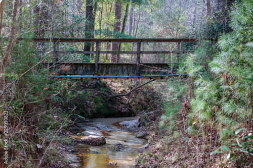 old bridge in the forest