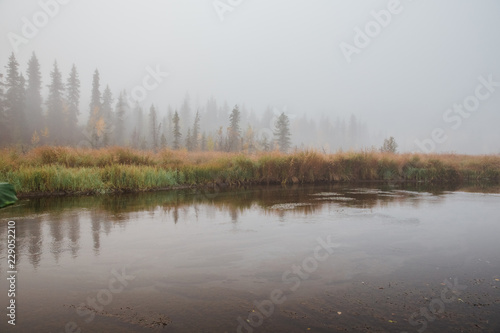 foggy autumn morning at the river