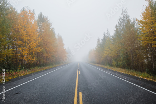 empty road in foggy autumn forest