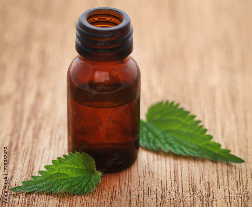 Nettle leaves with extract in a bottle Nettle leaves with extract in a bottle