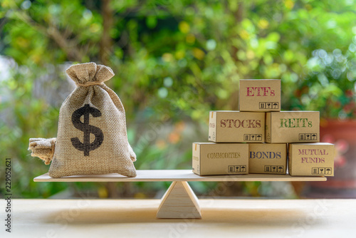 Quadro em tela Portfolio management and asset allocation concept : Dollar bag, financial products on balance scale e