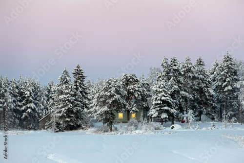 Small house in the middle of spruce forest