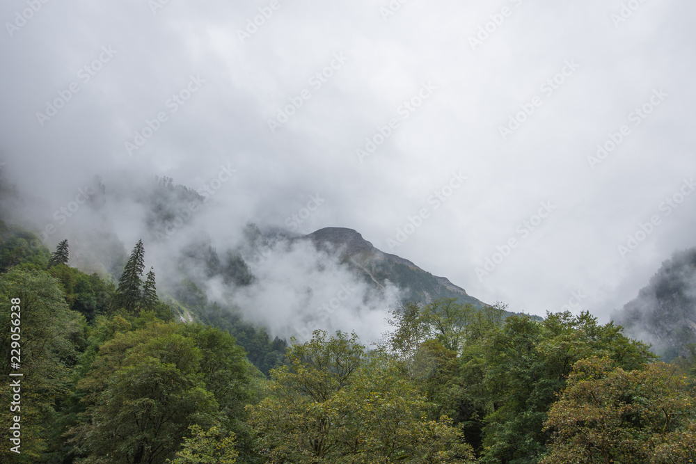 Nebel über dem Tal in den Alpen