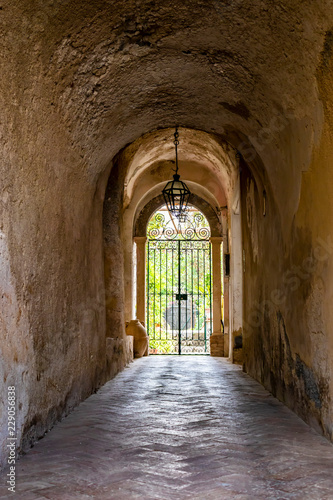 entrance with gate  at the end of a gallery  in an old house of an Italian village. Light through the tunnel. Garden with plants beyond the gate.