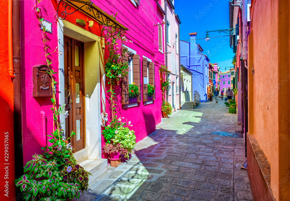 Fototapeta Street with colorful buildings in Burano island, Venice, Italy. Architecture and landmarks of Venice, Venice postcard