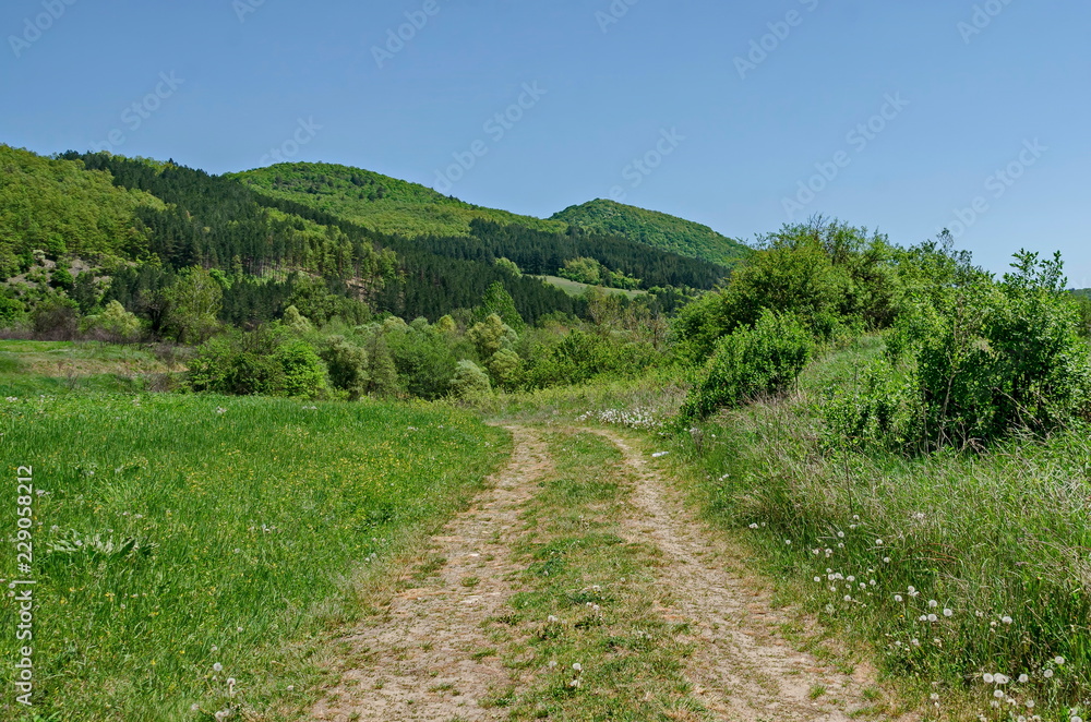 Springtime green forest, glade and valley toward Plana mountain with path near to Pasarel village, Bulgaria  