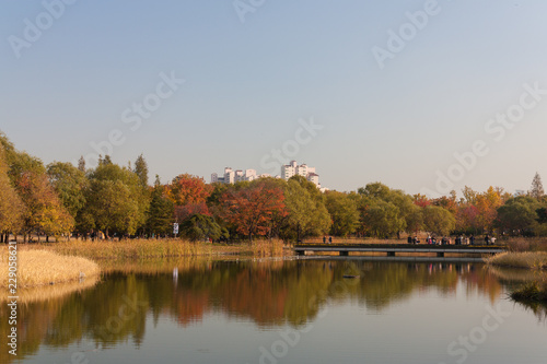 Autumn lake at the Olympic Park in Seoul, South Korea © Flo