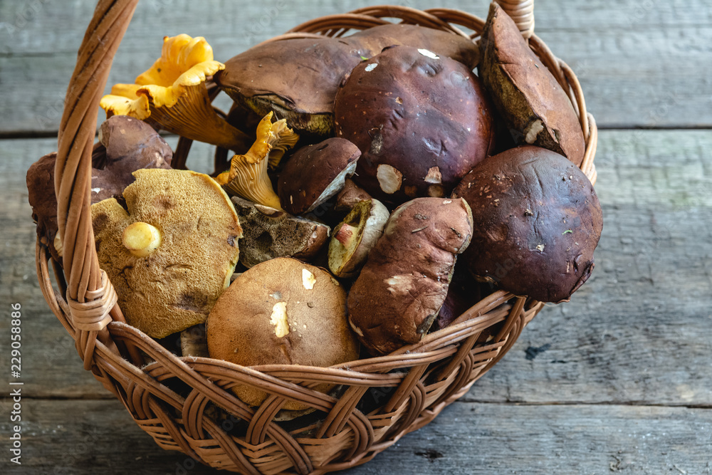 Basket full of different fresh forest mushrooms. Basket full of different fresh forest mushrooms.