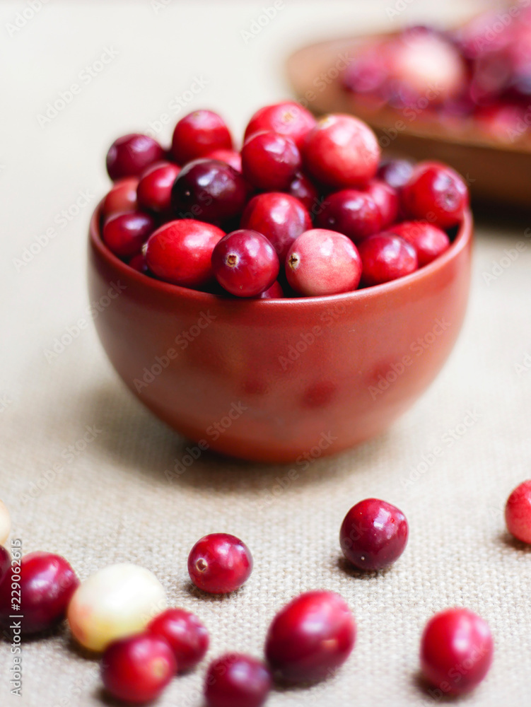 Thanksgiving Cranberries Thanksgiving Cranberries