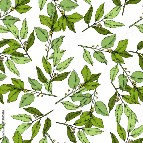 Vector green laurus leaf. Leaf plant botanical garden floral foliage. Seamless background pattern. Fabric wallpaper print texture. Vector leaf for background, texture, wrapper pattern, frame.