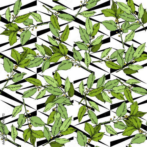 Vector green laurus leaf. Leaf plant botanical garden floral foliage. Seamless background pattern. Fabric wallpaper print texture. Vector leaf for background, texture, wrapper pattern, frame.