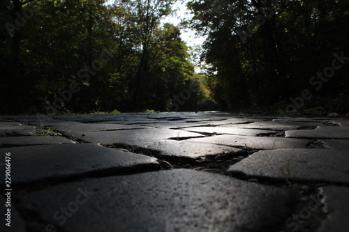 Cobblestones and sunlight
