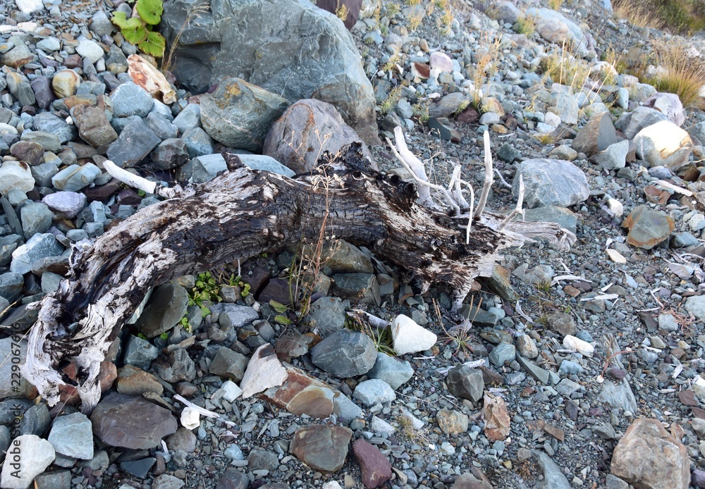 closeup of a rocky pebble shoreline with driftwood closeup of a rocky pebble shoreline with driftwood