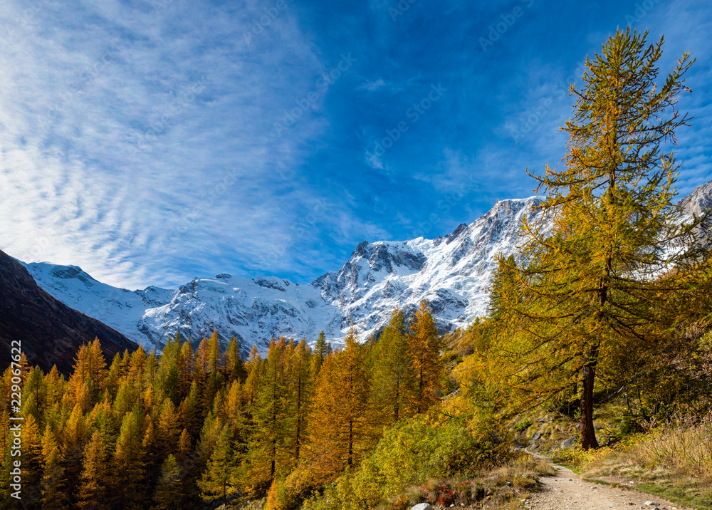 Autunno nelle alpi Autunno nelle alpi