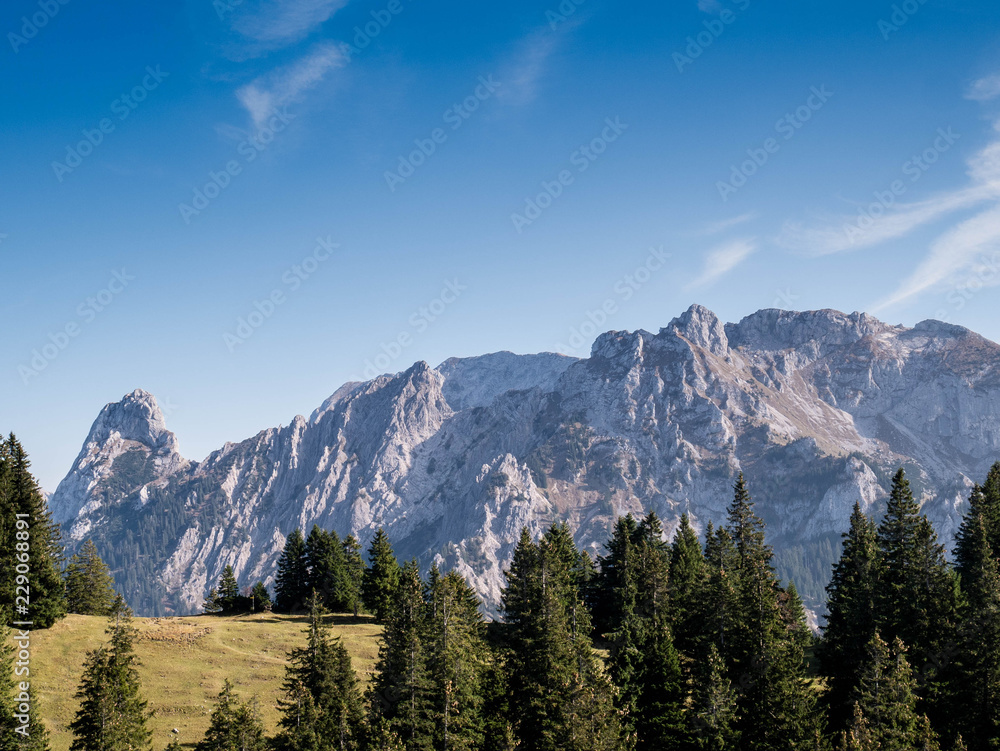 Panorama in den Ammergauer Alpen vom Spitzingschröfle