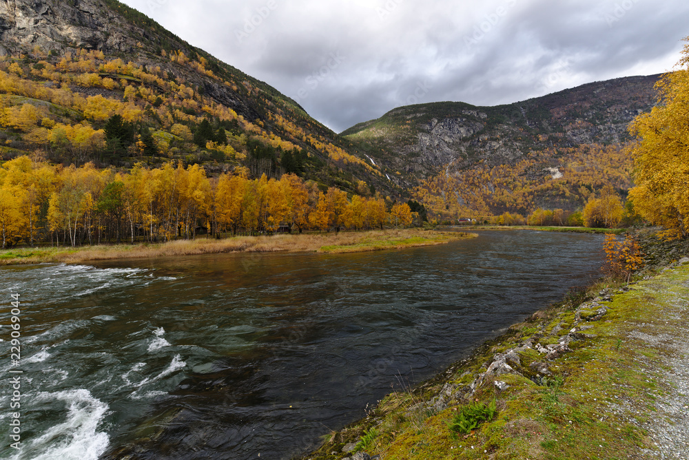 Fototapeta premium Norway river side in Autumn
