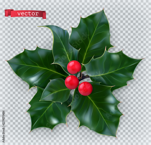Holly traditional Christmas decoration. 3d realistic vector icon