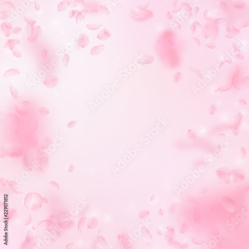 Sakura petals falling down. Romantic pink flowers 