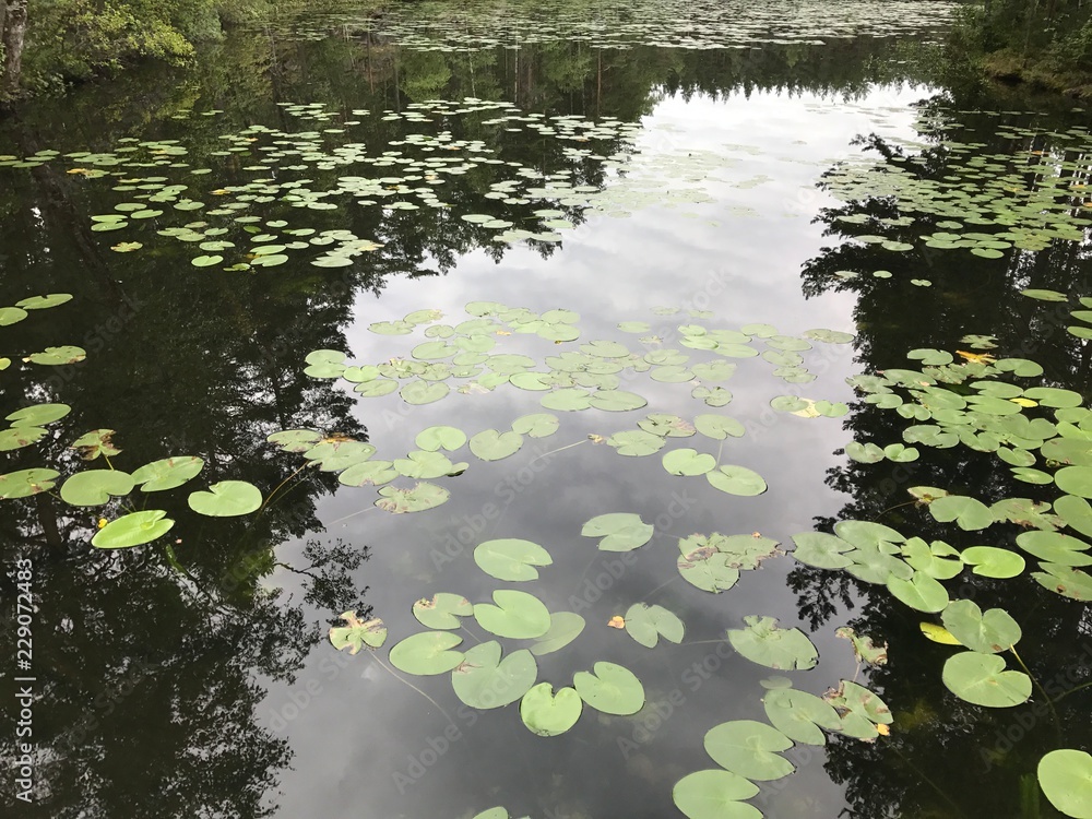 Black Lake Black Lake