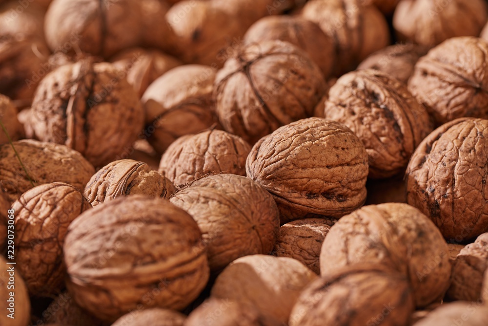 Walnuts in a pile Walnuts in a pile
