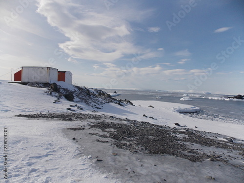 Wallpaper Mural Walking on Esperanza Base, Antártida Torontodigital.ca