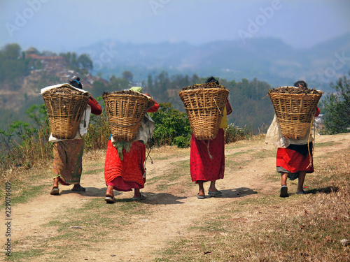 Nepal Field Workers photo