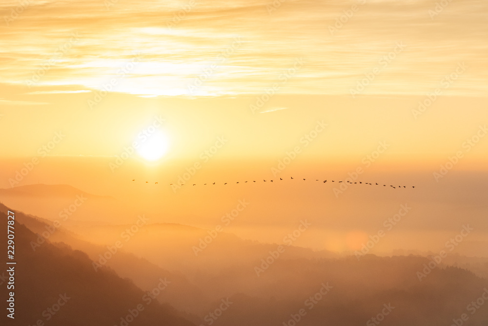 Sonnenaufgang mit Zugvögel