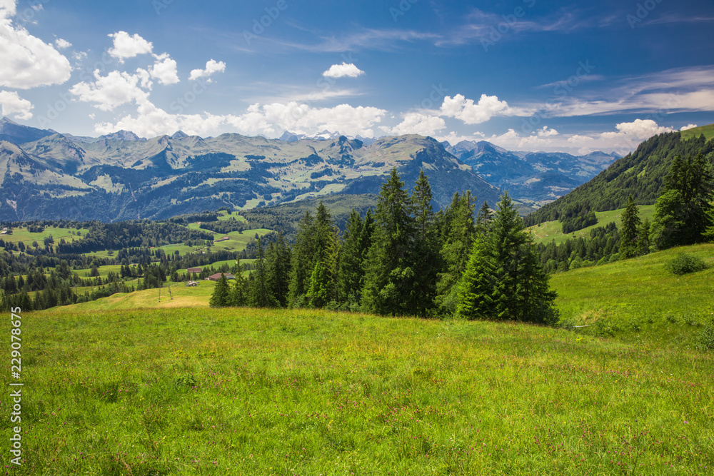 Fototapeta premium Beautiful summer landscape of Switzerland with Grosser Mythen mountain and green meadows, Ibergeregg, Switzerland, Europe