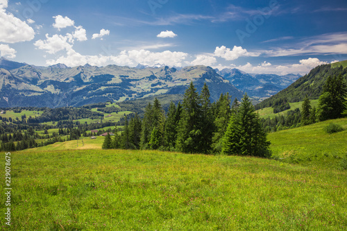 Beautiful summer landscape of Switzerland with Grosser Mythen mountain and green meadows, Ibergeregg, Switzerland, Europe
