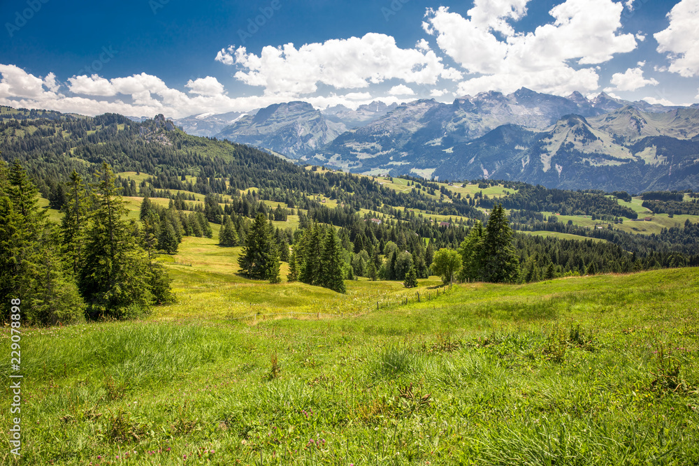 Beautiful summer landscape of Switzerland with Grosser Mythen mountain and green meadows, Ibergeregg, Switzerland, Europe