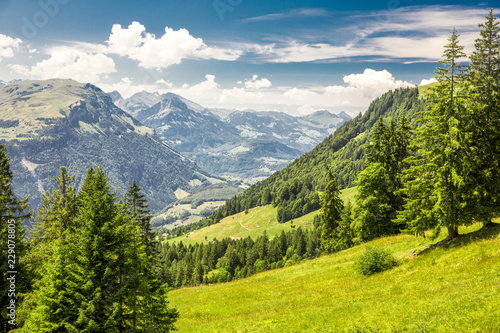 Beautiful summer landscape of Switzerland with Grosser Mythen mountain and green meadows, Ibergeregg, Switzerland, Europe © Eva Bocek